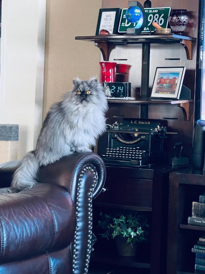 Ruskin Fl Private 2 Bdrm 1 Bath Suite Common Areas Shared With Host And Cat Екстериор снимка