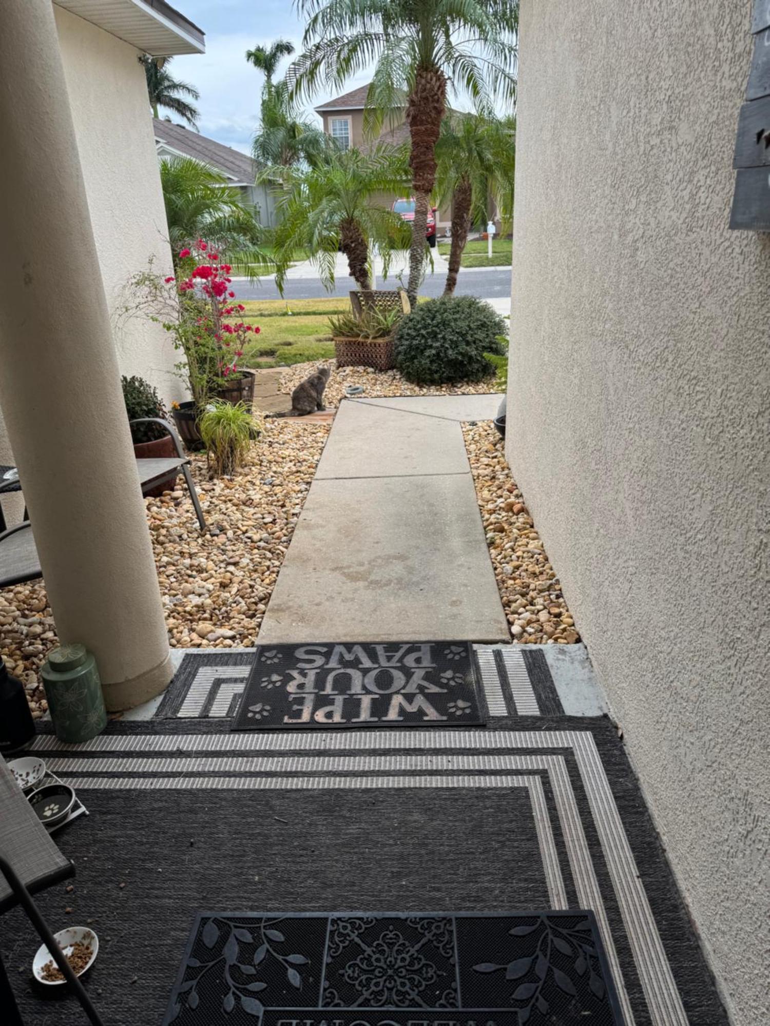 Ruskin Fl Private 2 Bdrm 1 Bath Suite Common Areas Shared With Host And Cat Екстериор снимка