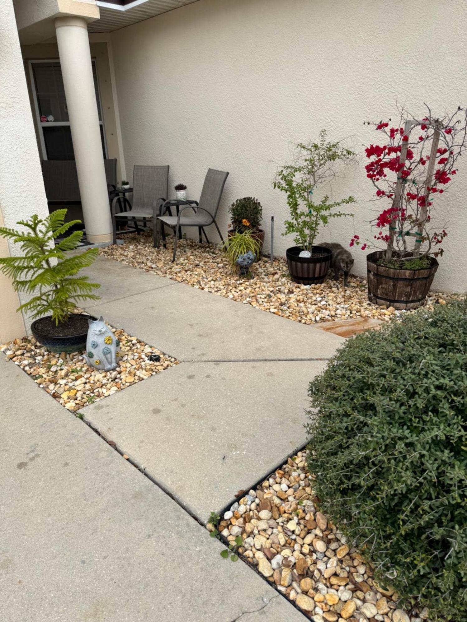 Ruskin Fl Private 2 Bdrm 1 Bath Suite Common Areas Shared With Host And Cat Екстериор снимка